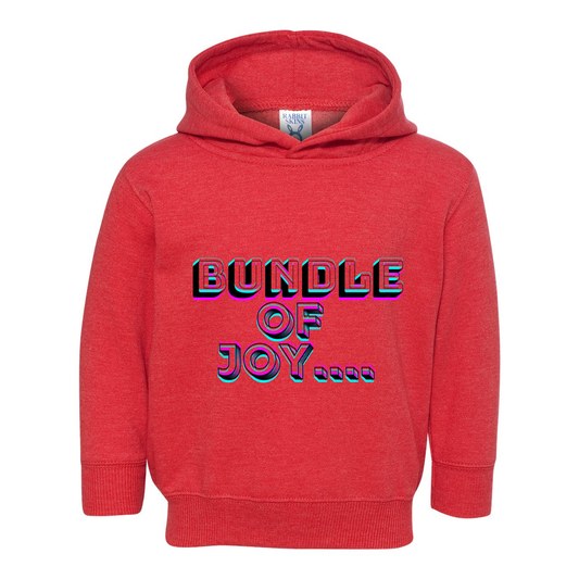 Toddler Pullover Fleece Hoodie "Bundle of Joy"